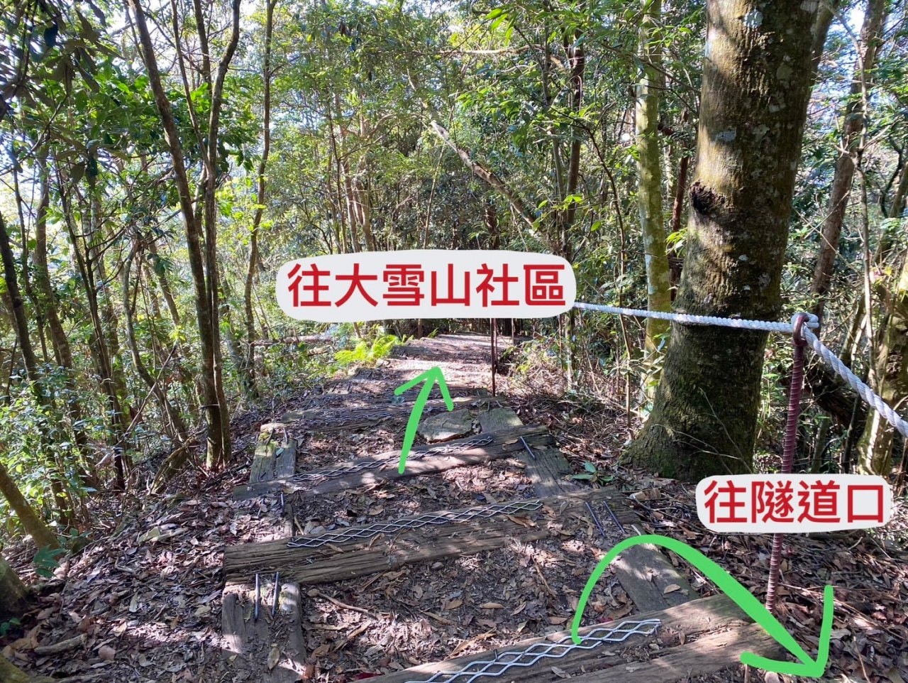 台中登山|橫沙笛縱走登山路程紀錄|享受山林間的療癒時光~橫嶺山、沙蓮山、笛吹山 - 第31張圖 橫沙笛縱走岔路