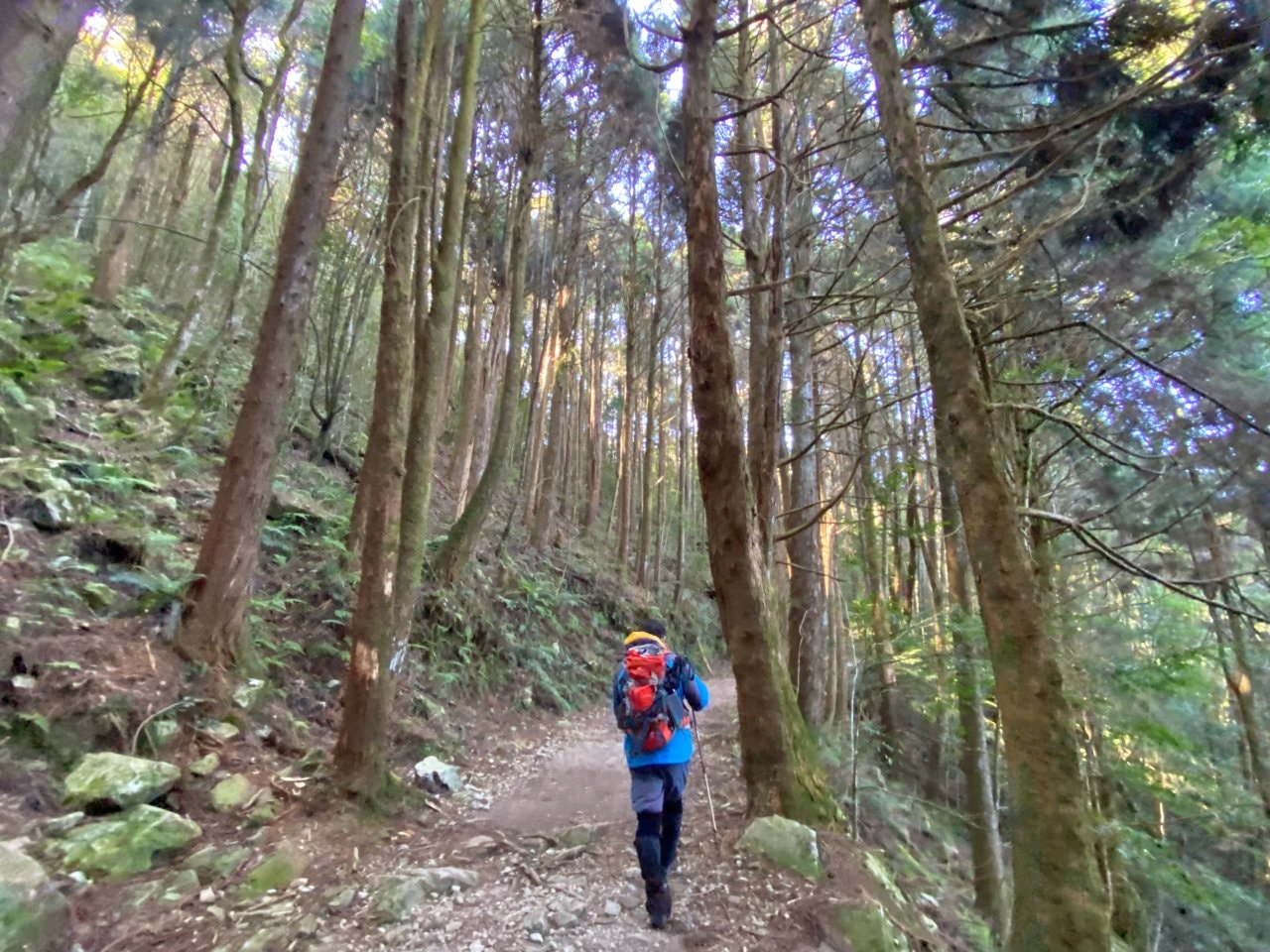 台中登山|橫沙笛縱走登山路程紀錄|享受山林間的療癒時光~橫嶺山、沙蓮山、笛吹山 - 第10張圖 橫沙笛縱走、橫嶺山步道