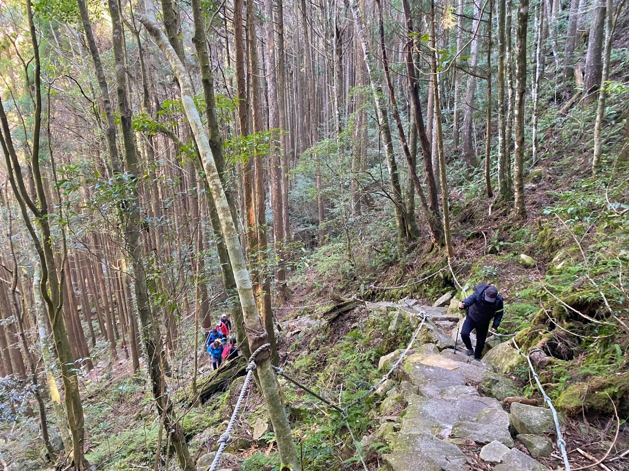 台中登山|橫沙笛縱走登山路程紀錄|享受山林間的療癒時光~橫嶺山、沙蓮山、笛吹山 - 第13張圖 橫沙笛縱走、橫嶺山