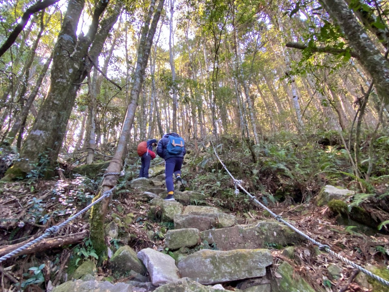 台中登山|橫沙笛縱走登山路程紀錄|享受山林間的療癒時光~橫嶺山、沙蓮山、笛吹山 - 第12張圖 橫沙笛縱走、橫嶺山