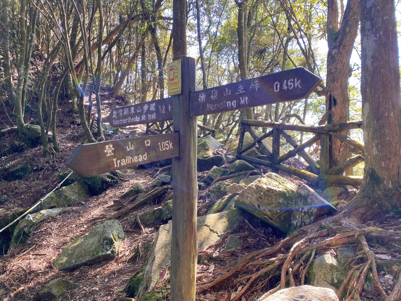 台中登山|橫沙笛縱走登山路程紀錄|享受山林間的療癒時光~橫嶺山、沙蓮山、笛吹山 - 第14張圖 橫沙笛縱走、橫嶺山