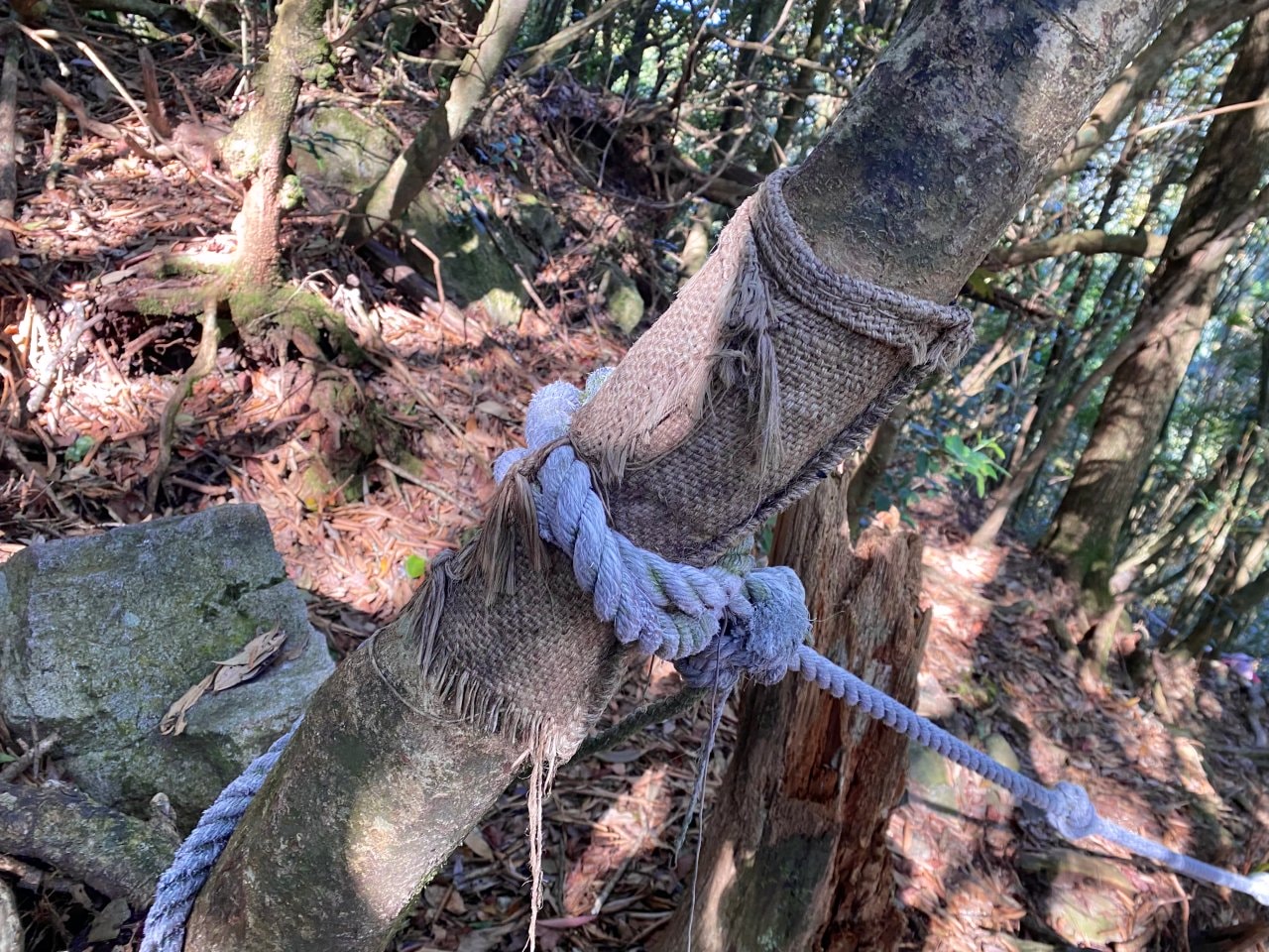 台中登山|橫沙笛縱走登山路程紀錄|享受山林間的療癒時光~橫嶺山、沙蓮山、笛吹山 - 第15張圖 橫沙笛縱走、橫嶺山