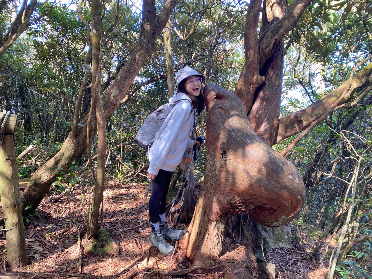 台中登山|橫沙笛縱走登山路程紀錄|享受山林間的療癒時光~橫嶺山、沙蓮山、笛吹山 - 第16張圖 橫沙笛縱走、橫嶺山海豹樹