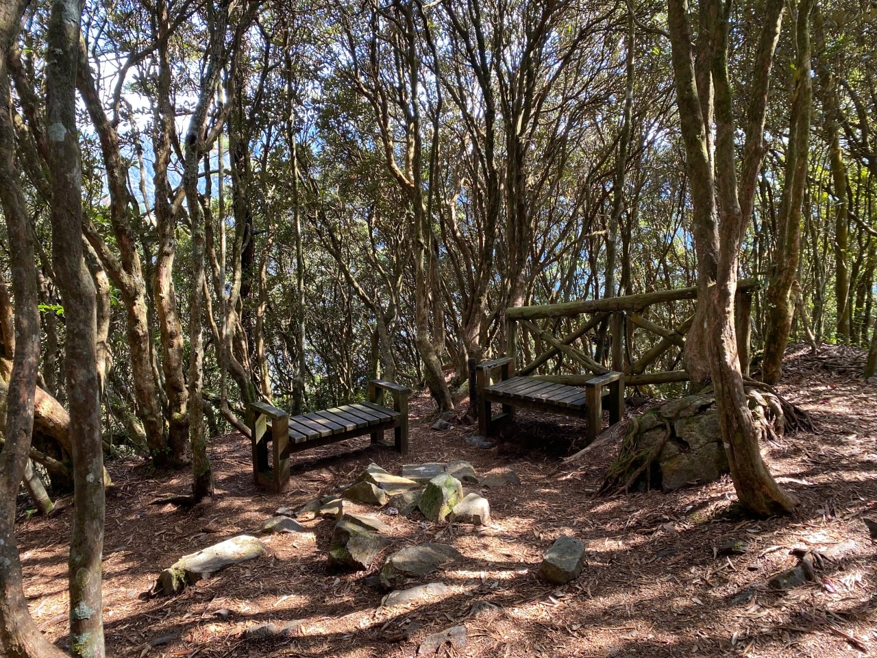 台中登山|橫沙笛縱走登山路程紀錄|享受山林間的療癒時光~橫嶺山、沙蓮山、笛吹山 - 第18張圖 橫沙笛縱走、橫嶺山
