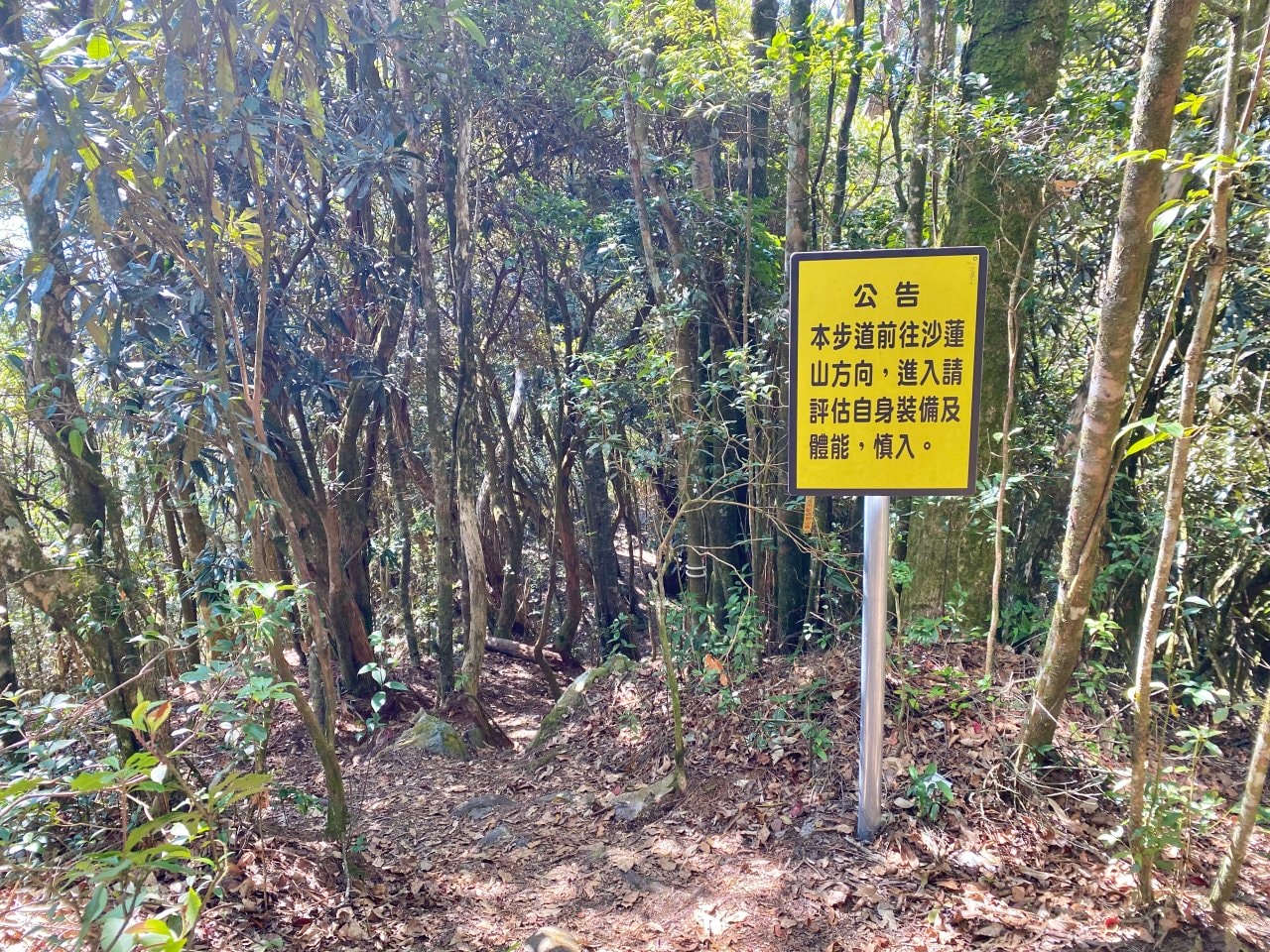 台中登山|橫沙笛縱走登山路程紀錄|享受山林間的療癒時光~橫嶺山、沙蓮山、笛吹山 - 第19張圖 橫沙笛縱走、橫嶺山