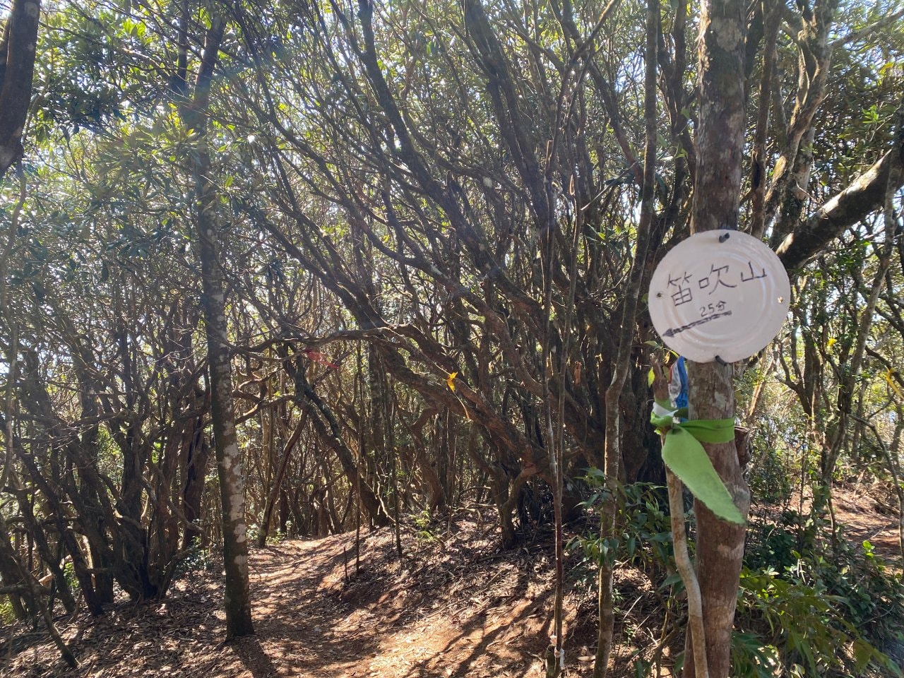 台中登山|橫沙笛縱走登山路程紀錄|享受山林間的療癒時光~橫嶺山、沙蓮山、笛吹山 - 第26張圖 橫沙笛縱走、笛吹山岔路