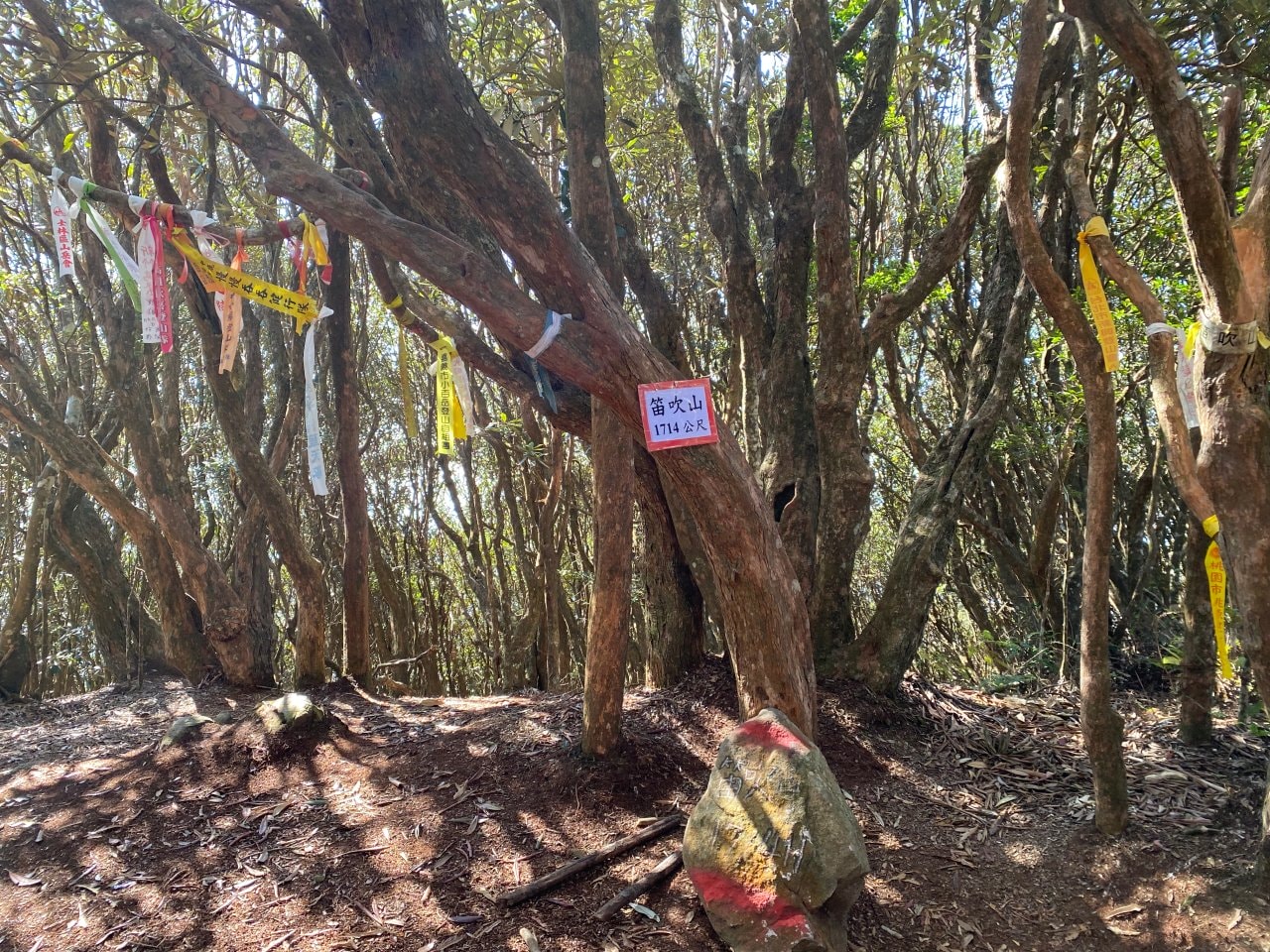 台中登山|橫沙笛縱走登山路程紀錄|享受山林間的療癒時光~橫嶺山、沙蓮山、笛吹山 - 第27張圖 橫沙笛縱走、笛吹山