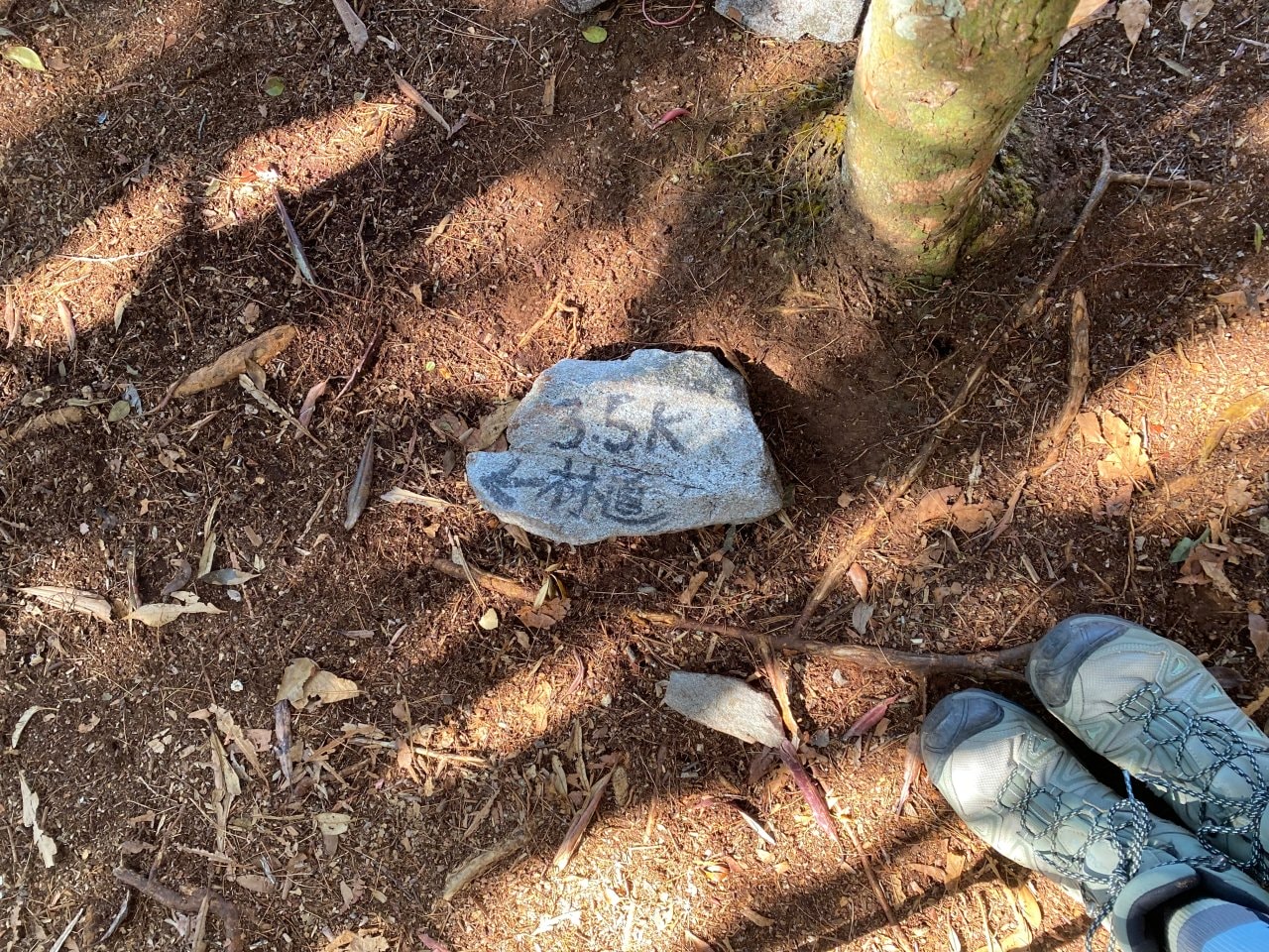 台中登山|橫沙笛縱走登山路程紀錄|享受山林間的療癒時光~橫嶺山、沙蓮山、笛吹山 - 第29張圖 橫沙笛縱走