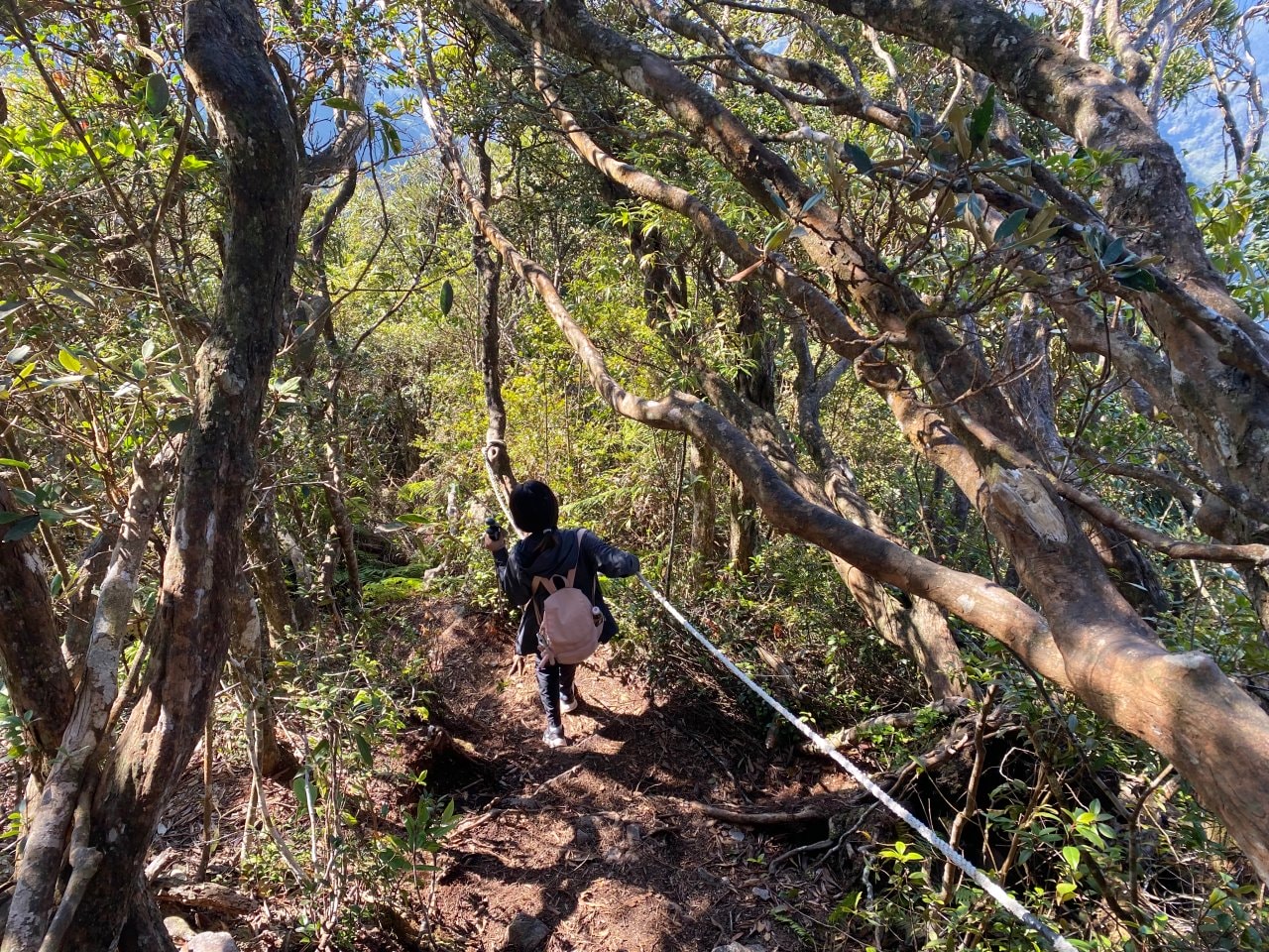 台中登山|橫沙笛縱走登山路程紀錄|享受山林間的療癒時光~橫嶺山、沙蓮山、笛吹山 - 第30張圖 橫沙笛縱走