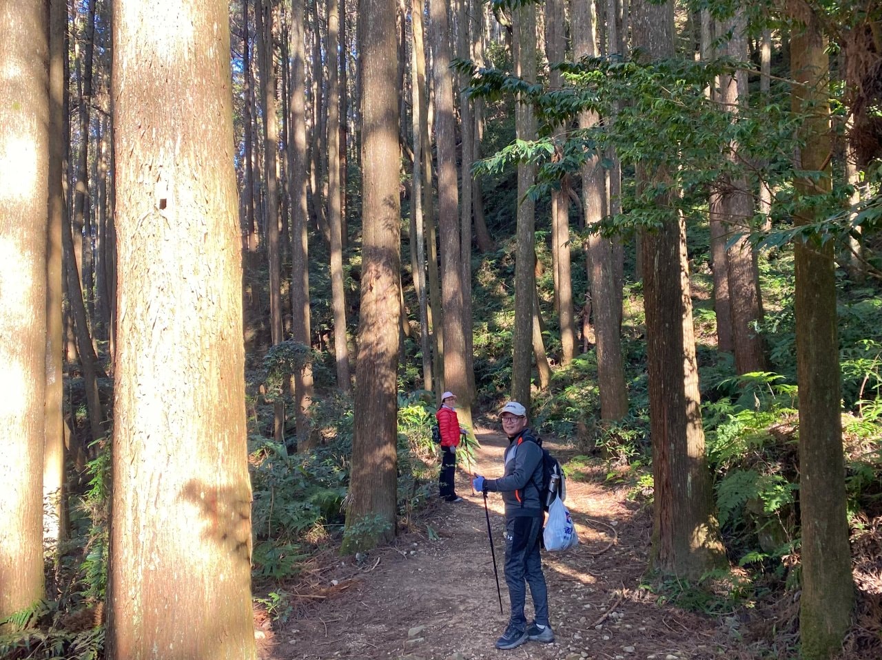 台中登山|橫沙笛縱走登山路程紀錄|享受山林間的療癒時光~橫嶺山、沙蓮山、笛吹山 - 第35張圖 橫沙笛縱走、橫嶺山步道