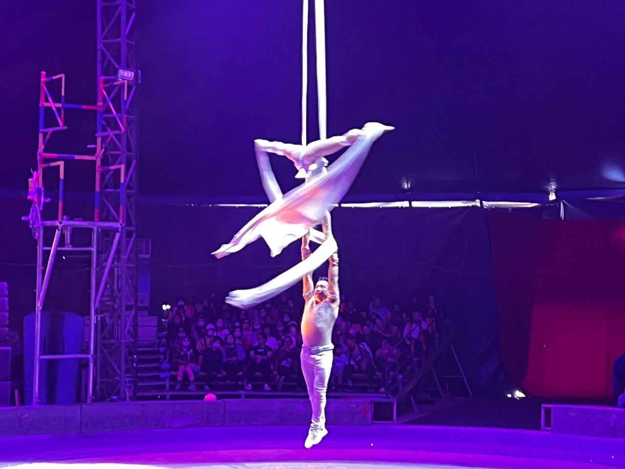 台中|后里瘋馬大馬戲團|精彩絕倫的特技表演太好看啦!!后里馬場一日遊 - 第5張圖 瘋馬大馬戲團空中絲緞秀