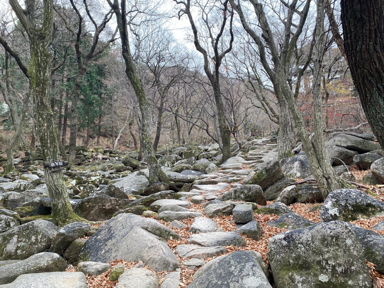 姑堂峰登山紀錄-石階