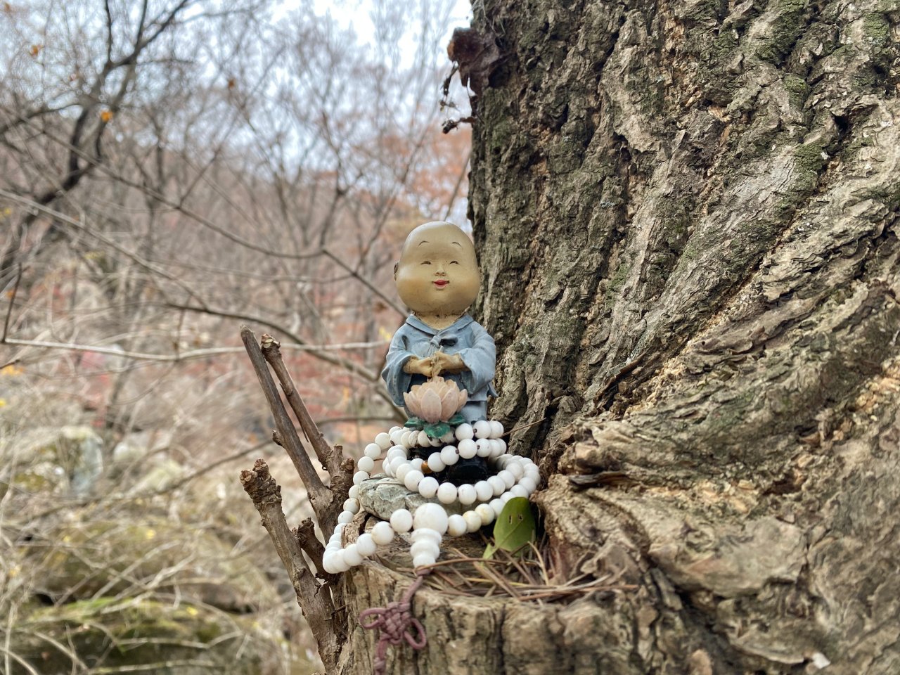 姑堂峰登山紀錄-小佛像