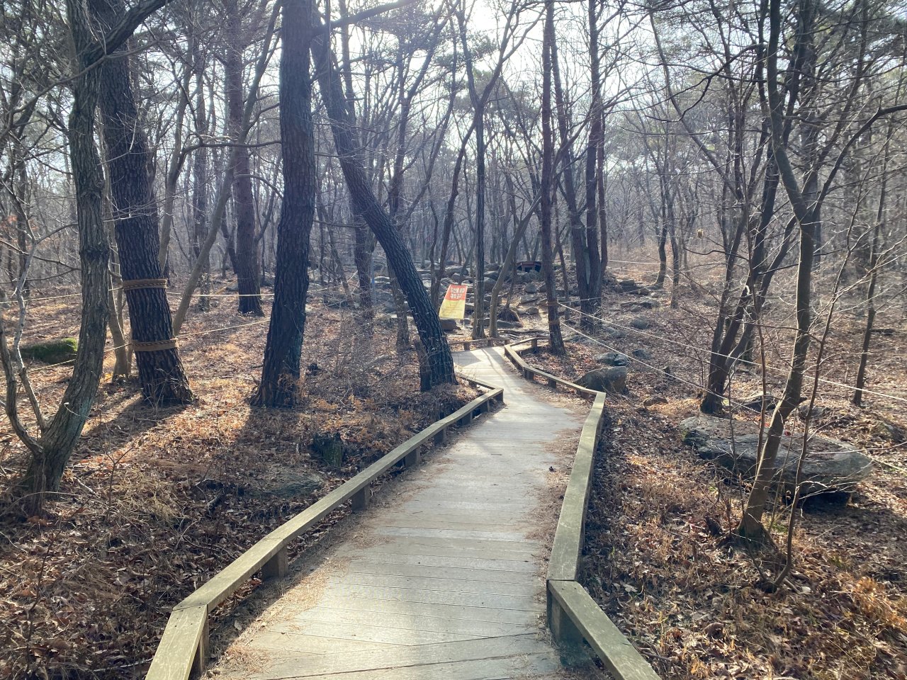 姑堂峰登山紀錄-木棧道