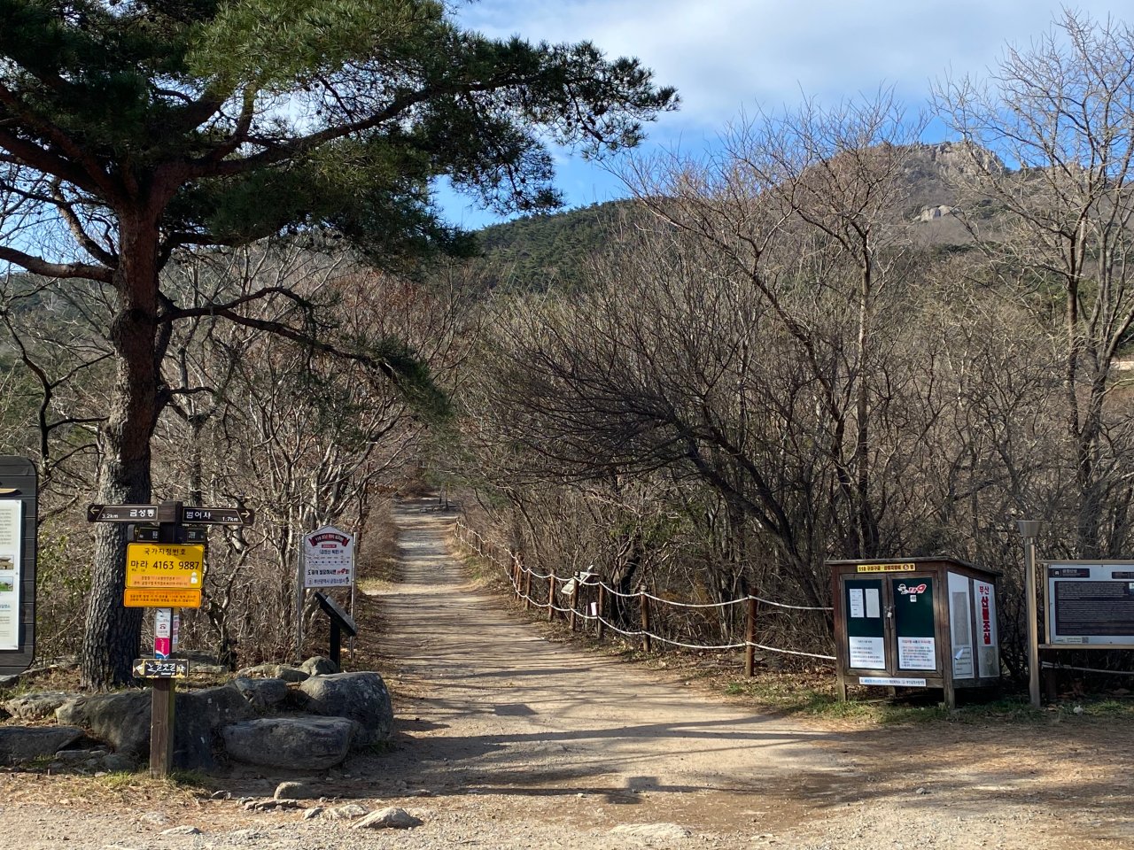 姑堂峰登山紀錄-岔路