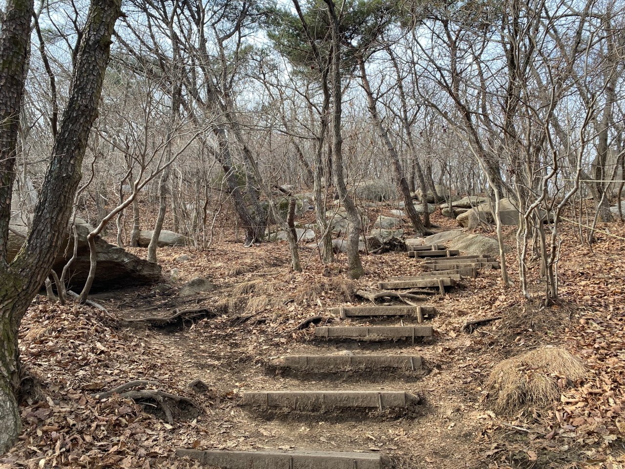 姑堂峰登山紀錄-階梯