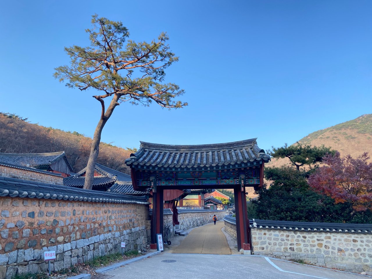 千年古剎—梵魚寺