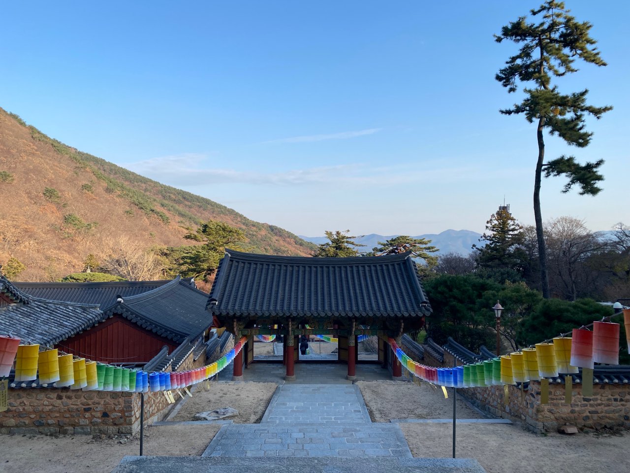 千年古剎—梵魚寺