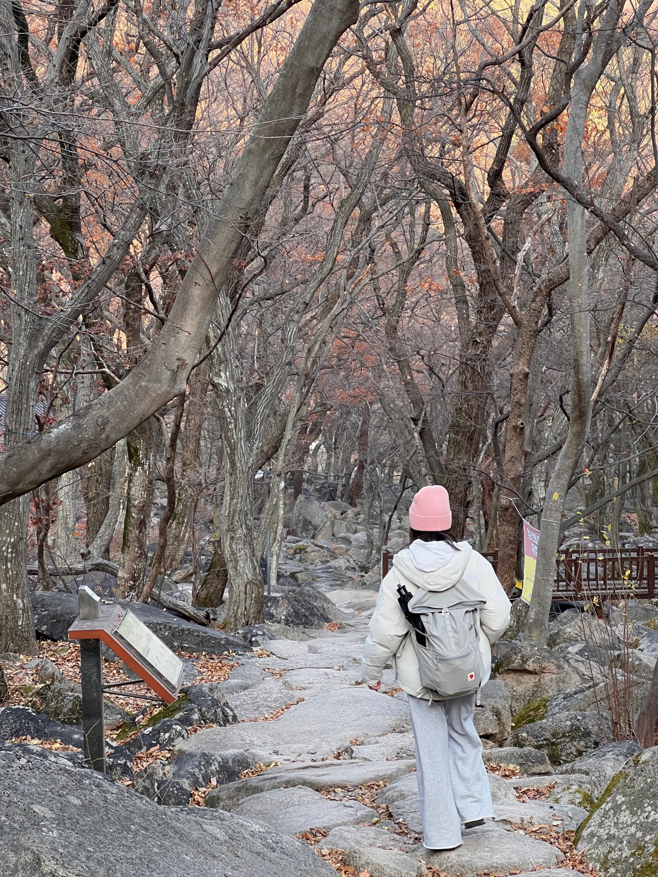 姑堂峰登山紀錄