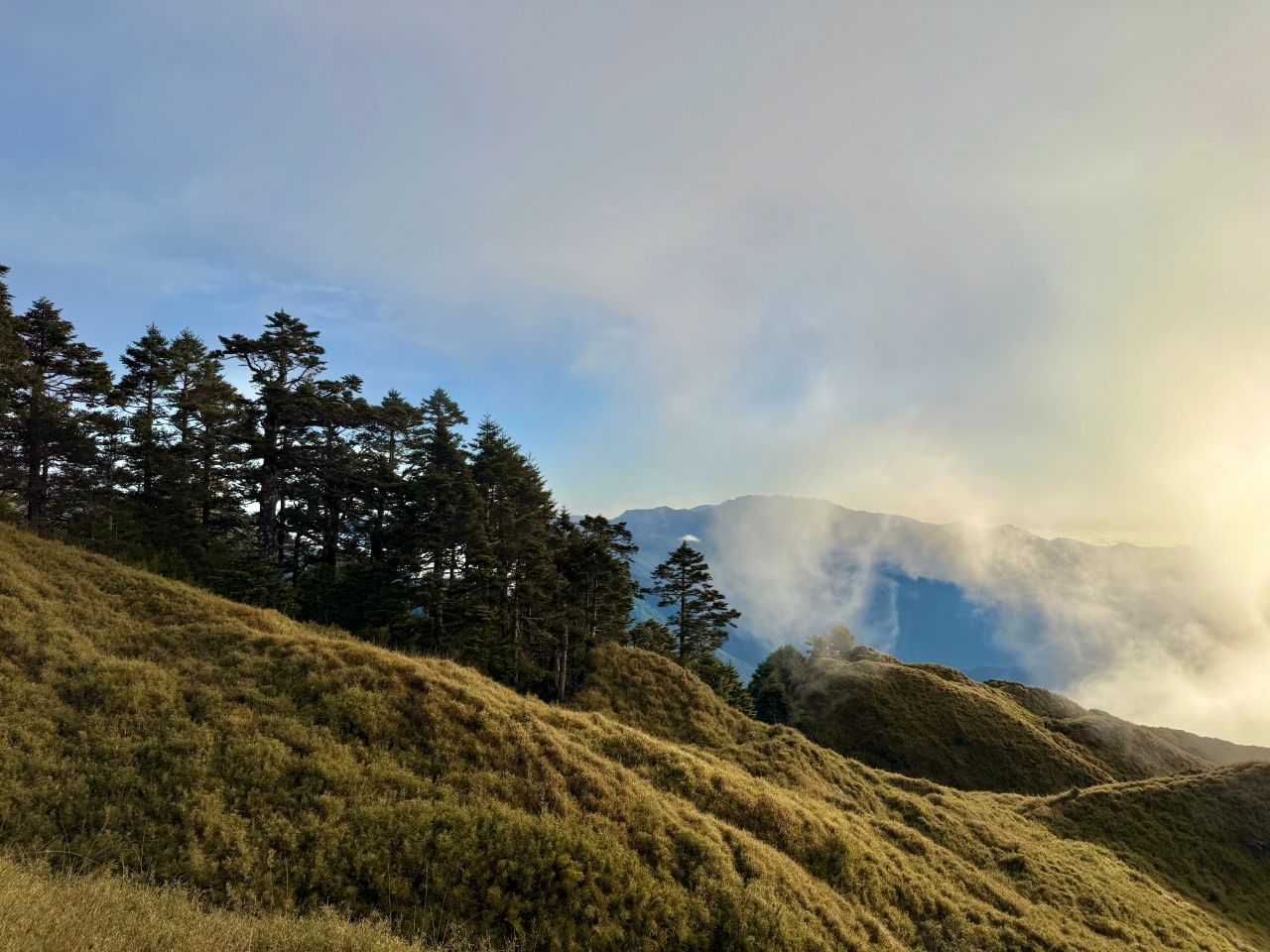 南投健行|小奇萊日出雲海美翻|登山資訊&路程紀錄分享 - 第3張圖 小奇萊黃金草原