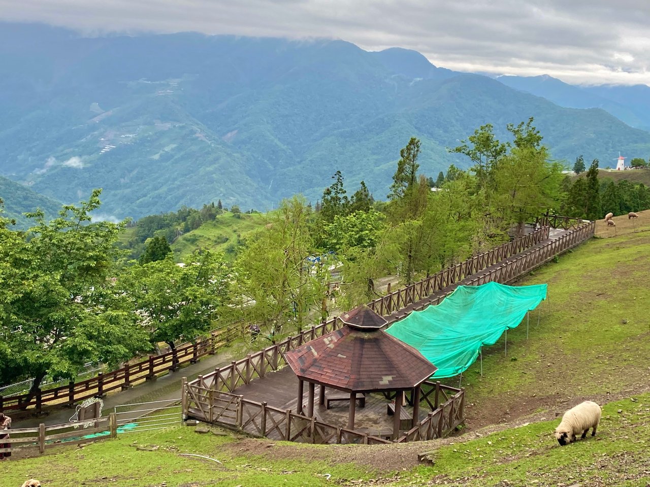 南投健行|小奇萊日出雲海美翻|登山資訊&路程紀錄分享 - 第27張圖 清境農場