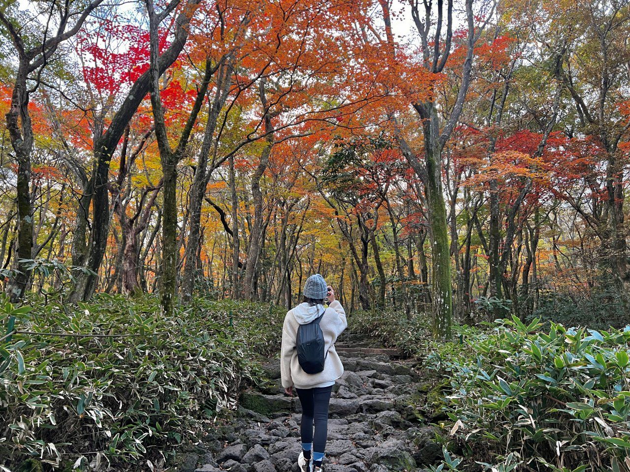 濟州漢拏山楓葉季