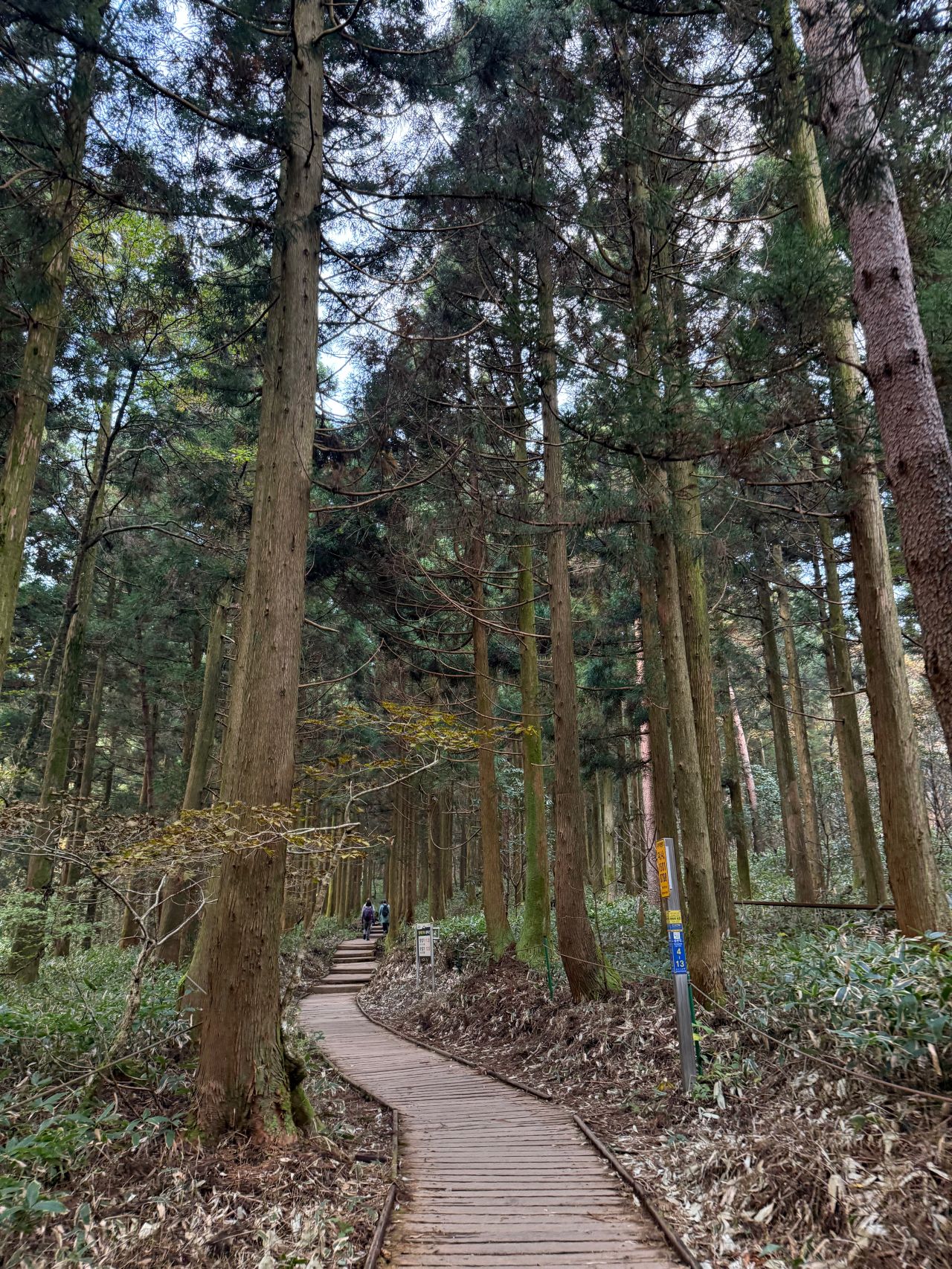 漢拏山城板岳線