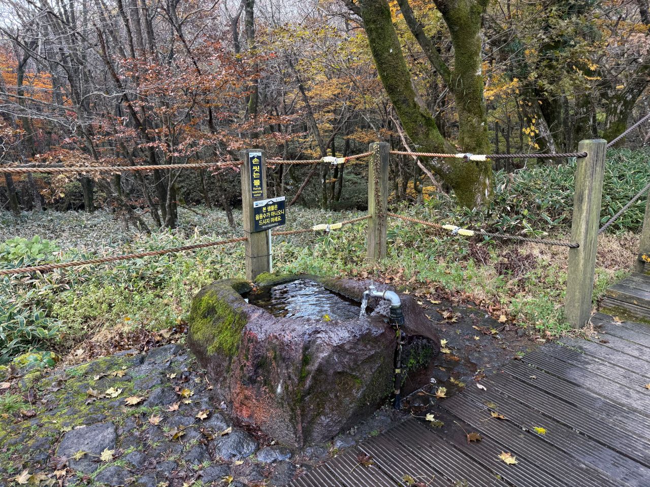 韓國｜濟州島漢拏山登山攻略｜城板岳線路程紀錄與登山資訊