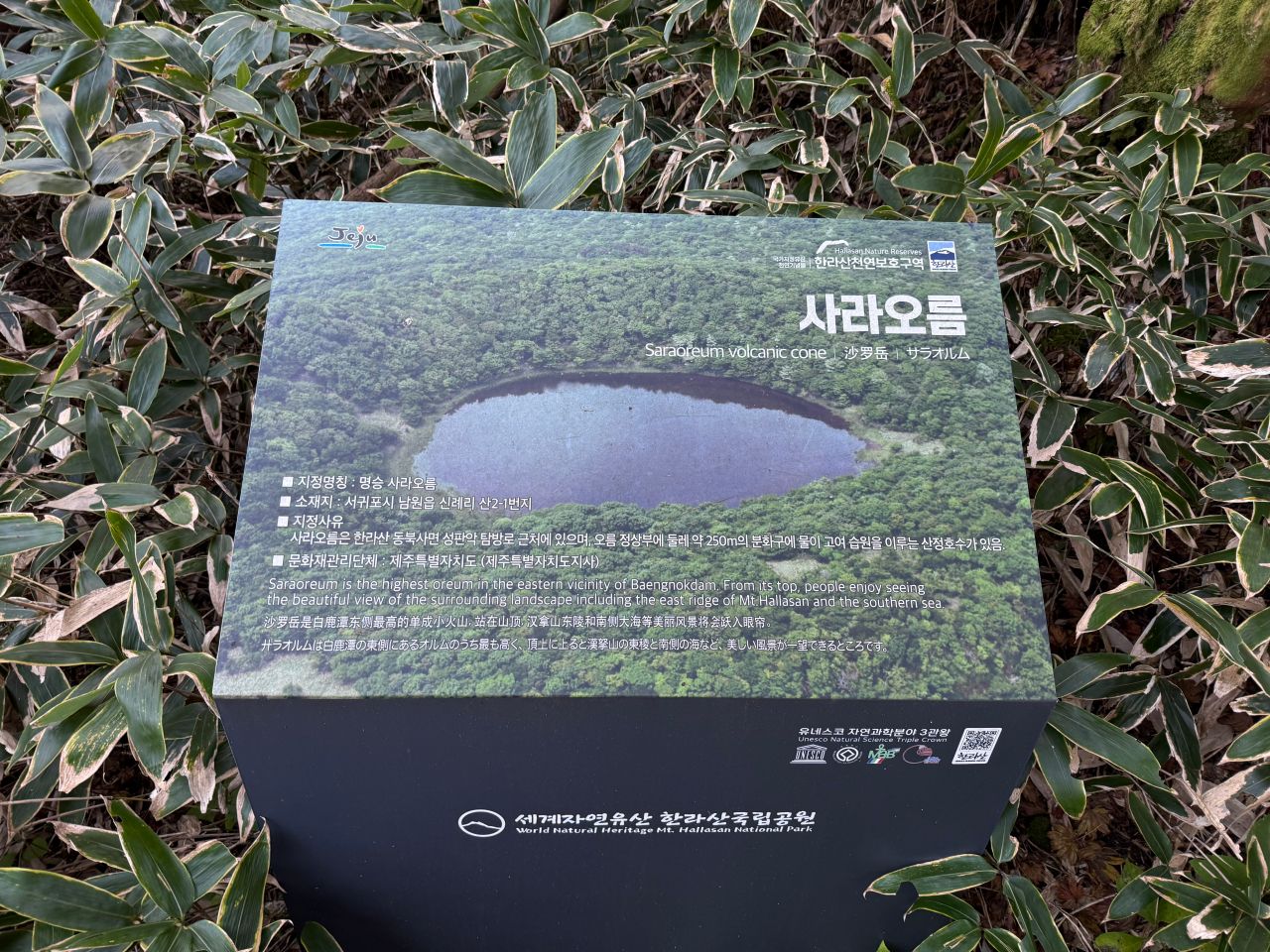 漢拏山紗羅岳入口