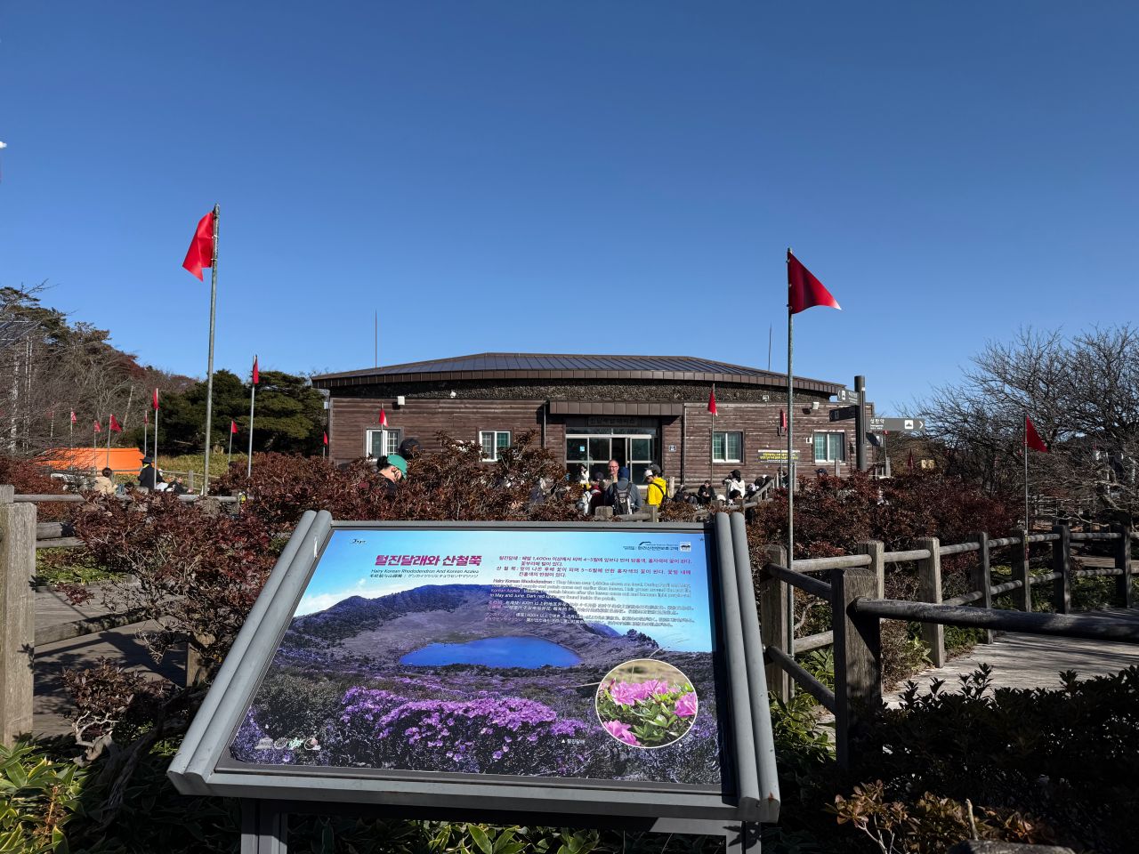 漢拏山杜鵑花田避難所