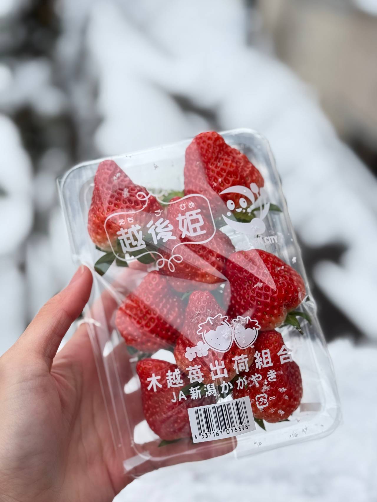 越後湯澤草莓、越後姬